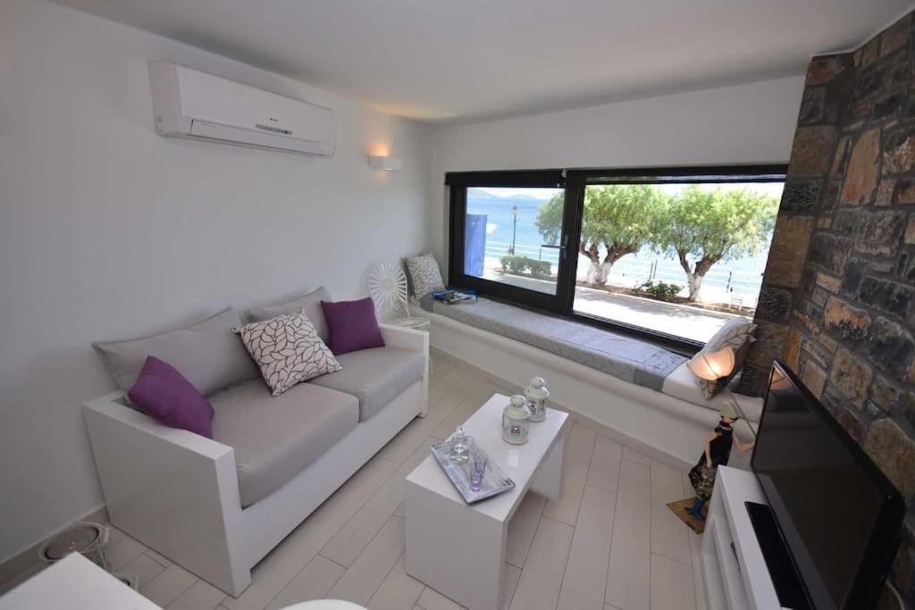 Petit Paradis Agios Nikolaos