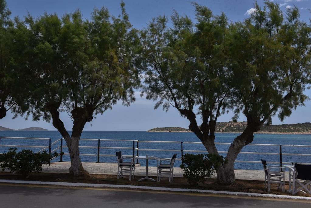 Apartment Petit Paradis